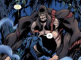 Gorilla Grodd