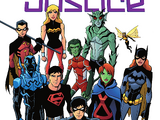 Young Justice Book Two: Growing Up