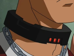 A collar on "".