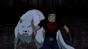 Superboy and Wolf square up