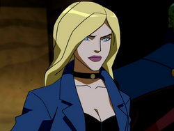 black canary young justice costume