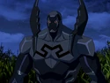 Black Beetle