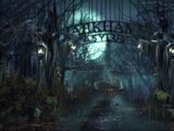 Gotham City/Arkham Asylum