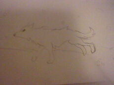 wolf running(i dont color my drawings)