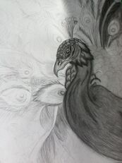 Peacock (still not finished)