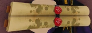 Ancient Scroll