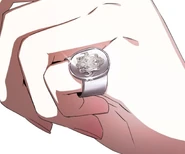 The ring worn by the head of the Solon house.