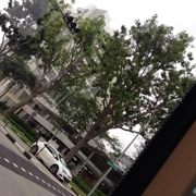 Simei East