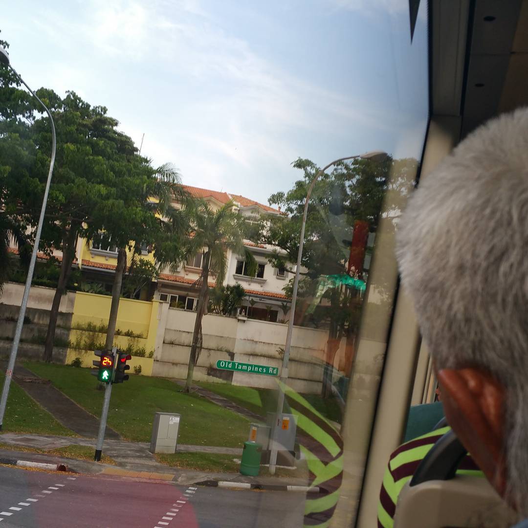 Changi Yourstudent Gemini Wiki Fandom Changi Yourstudent Gemini Wiki Fandom