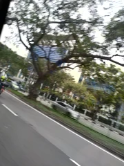 ITE College East