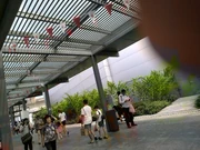 Exercise Heartbeat at Expo