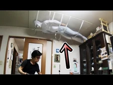 天井にいたらどのくらいでバレるの？【恐怖】