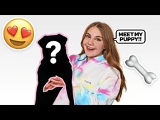 Piper Rockelle Wikitubia Fandom
