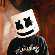 One of Marshmello's former profile pictures.