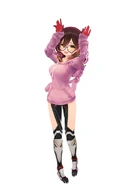 RobocoFull06.jpg (33 KB)