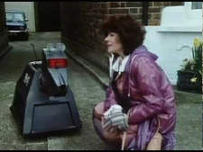 A_Brief_History_of_Sarah_Jane_Smith