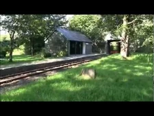 Talyllyn_Railway_-_Official_YouTube_Channel