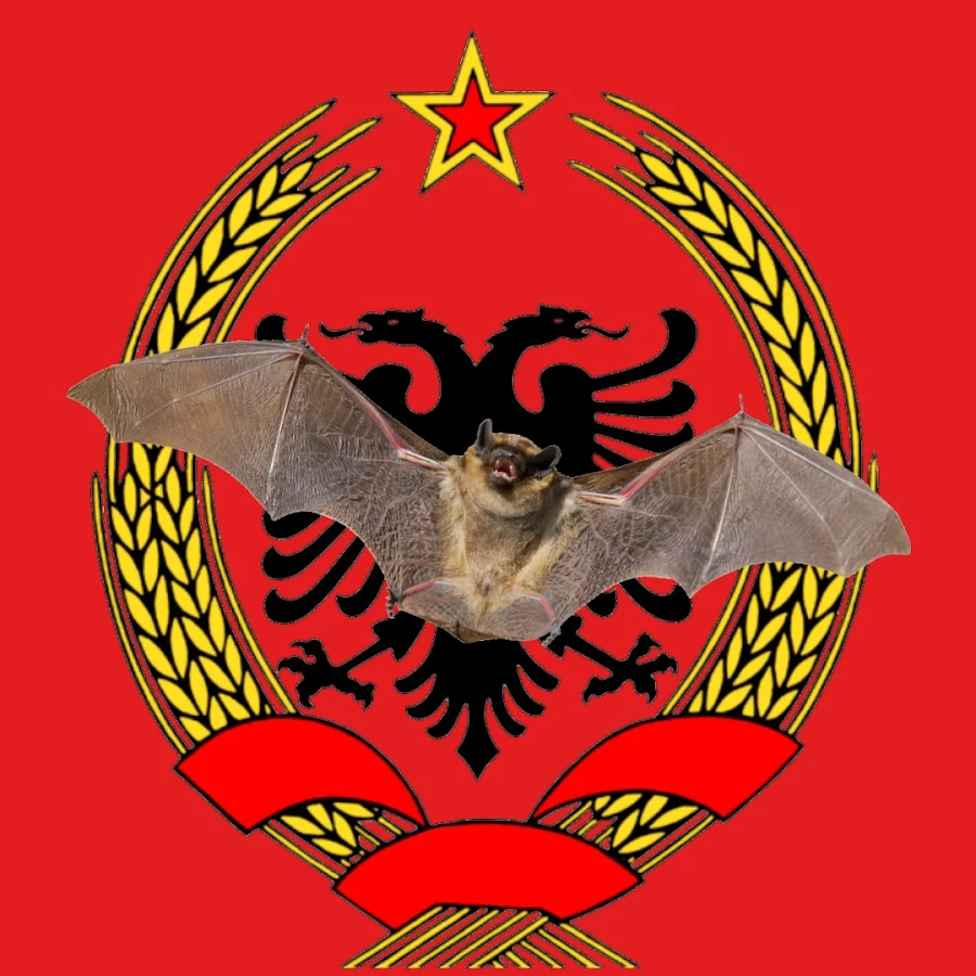 HYPER BAT MAPPING Wikitubia Fandom