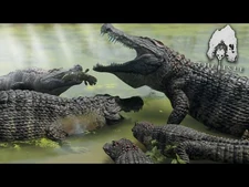 The_Giant_Crocodile_Family!!!_-_The_Isle