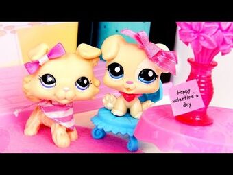 Lpshannah lps collection top