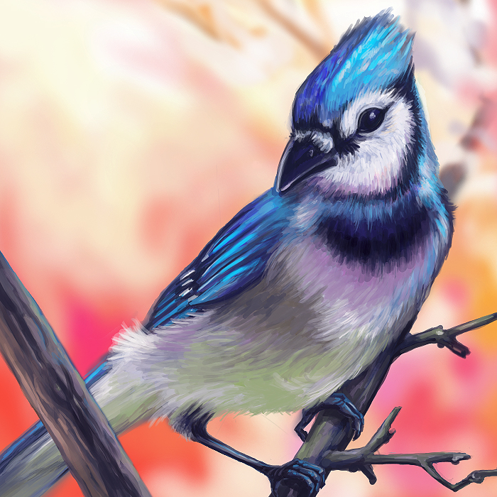 THE BLUE JAY by RB-Studios on DeviantArt