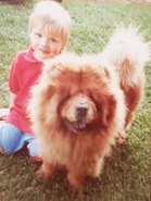 Aksuallydog.jpg (145 KB) Aksel's childhood dog, Kubu