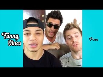 Funny Vines Wikitubia Fandom