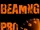 BeamNg Pro