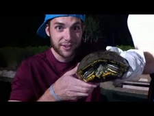 I_LIKE_TURTLES_--_Dude_Perfect
