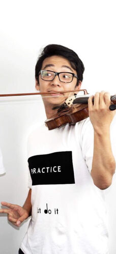 2setviolin discount