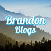 Wikitubia:Interviews/Brandonblogs