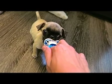 HE_ONLY_HAS_2_YEARS_TO_LIVE!!