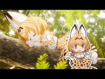 けものフレンズプロジェクト公式 Wikitubia Fandom