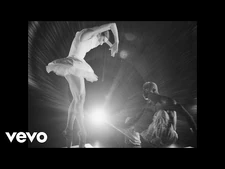 070_Shake_-_Elephant