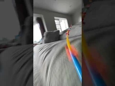 World's_longest_straw!