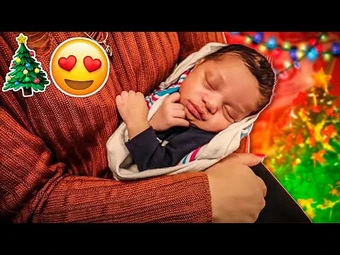 D B Nation Wikitubia Fandom