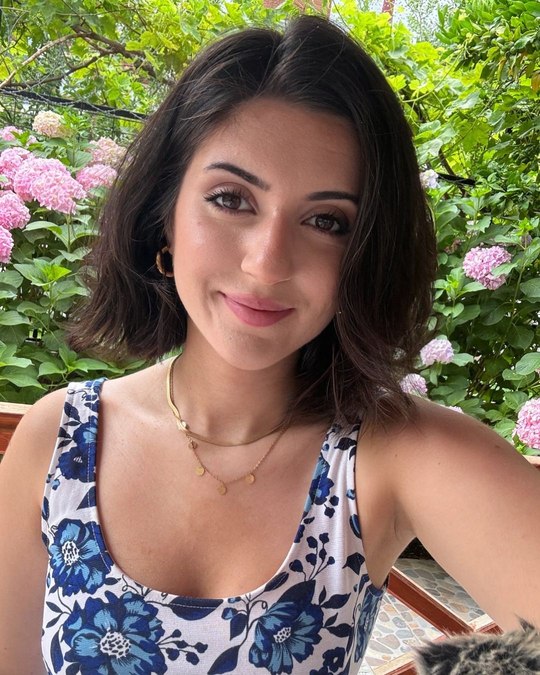 edafoxx ASMR | Wikitubia | Fandom