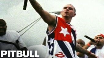 Pitbull Wikitubia Fandom