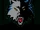 Minnesota Timberwolves