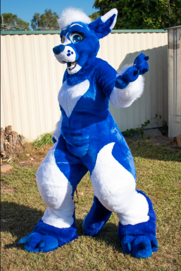 photo Pocari Roo Fursuit pocari roo wikitubia fandom