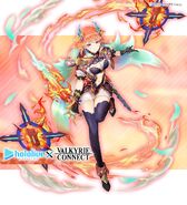 In Valkyrie Connect