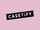CASETiFY