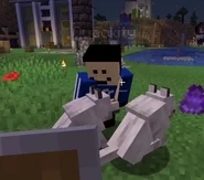 Quacknwoof.jpg (25 KB) Quackity with wolves in a Minecraft video