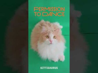 Kittisaurus shop 2025