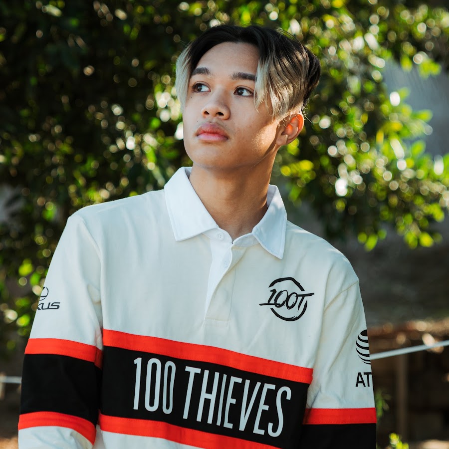 100 Thieves, Wikitubia