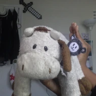 Original Profile Pic (2016-2017)