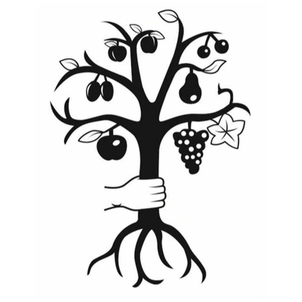 Dominik Schreiber YouTube Wiki Fandom