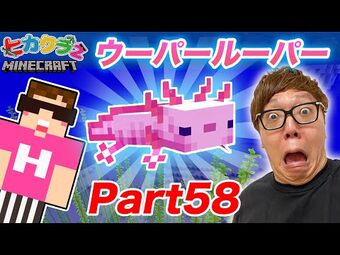 Hikakintv Wikitubia Fandom