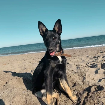 NAKED TRAVELER | Wikitubia | Fandom