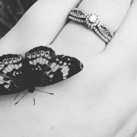 Brina 🐝